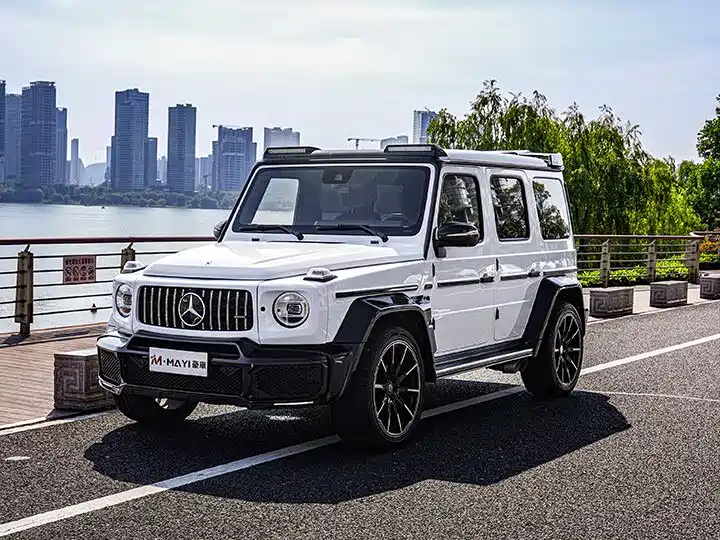 Mercedes-Benz G-Class 2019 — фото 4