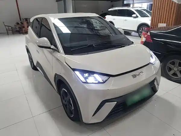 BYD Seagull 2024