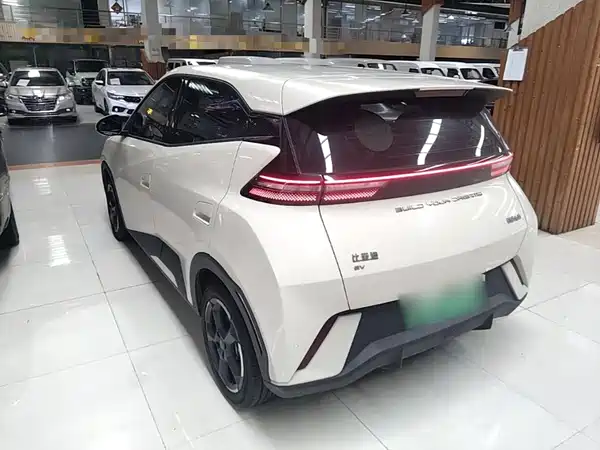 BYD Seagull 2024