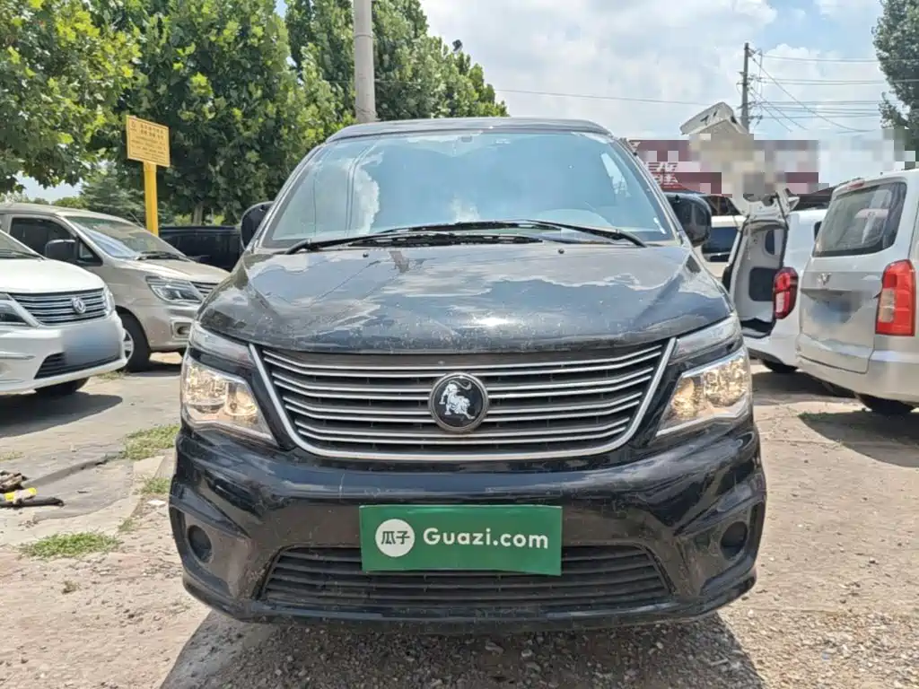 Fengxing Lingzhi 2022