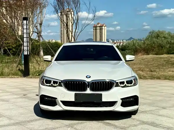 BMW 5 Series 2019