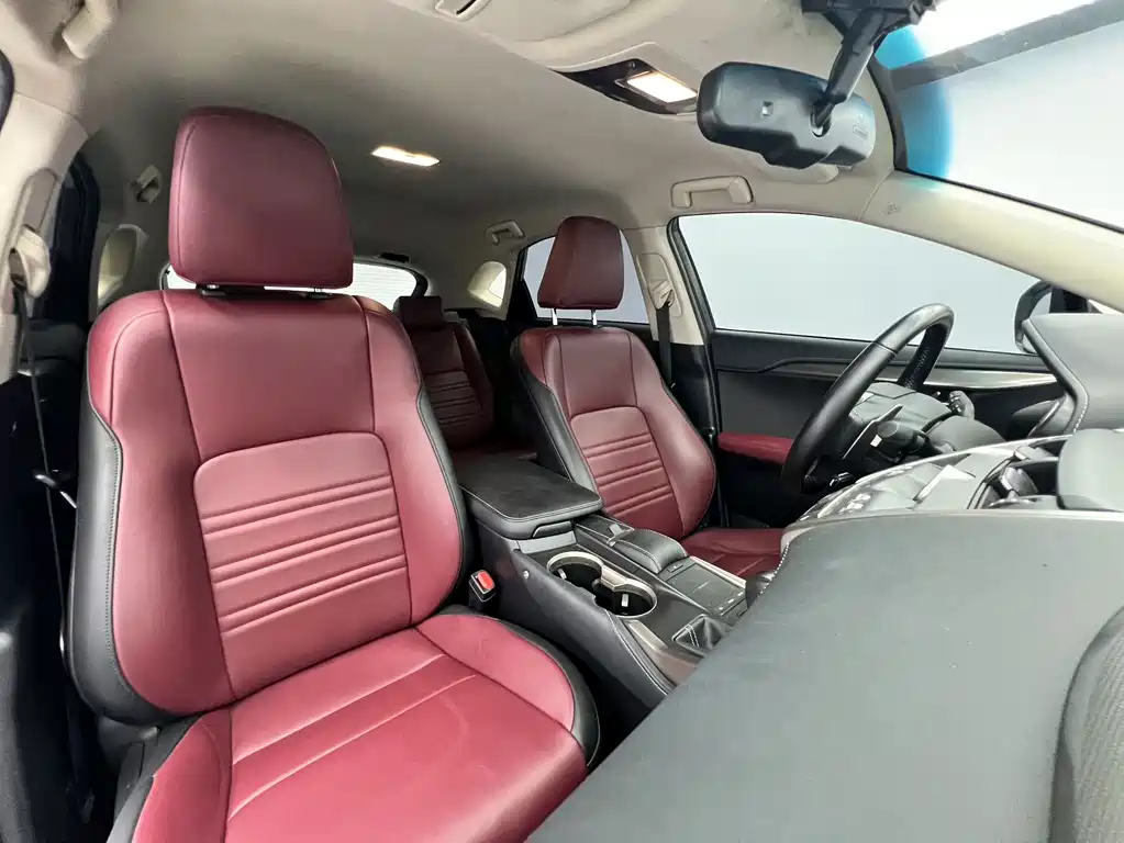 Lexus NX 2020 — фото 13