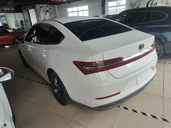 BYD Qin Pro 2019