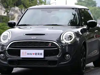 MINI MINI 2021