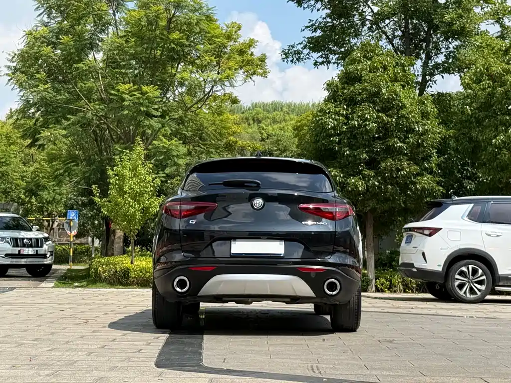 Alfa Romeo Stelvio 2019 — фото 8