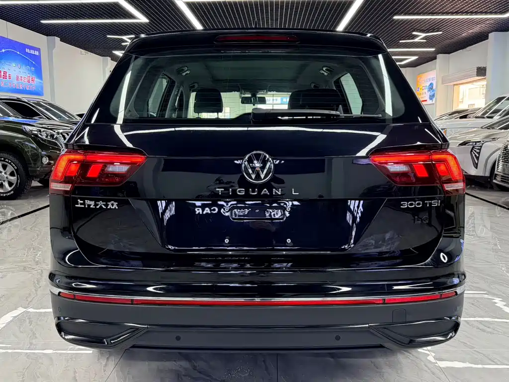 Volkswagen Tiguan L 2024 — фото 6