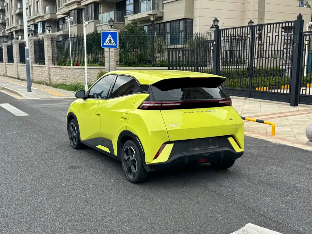 BYD Seagull 2024