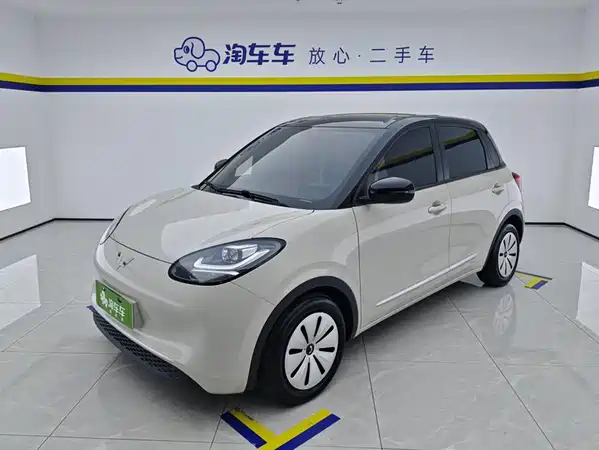 Wuling Bingo 2024