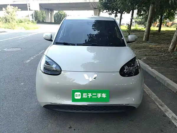 Wuling Bingo 2024