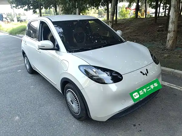 Wuling Bingo 2024