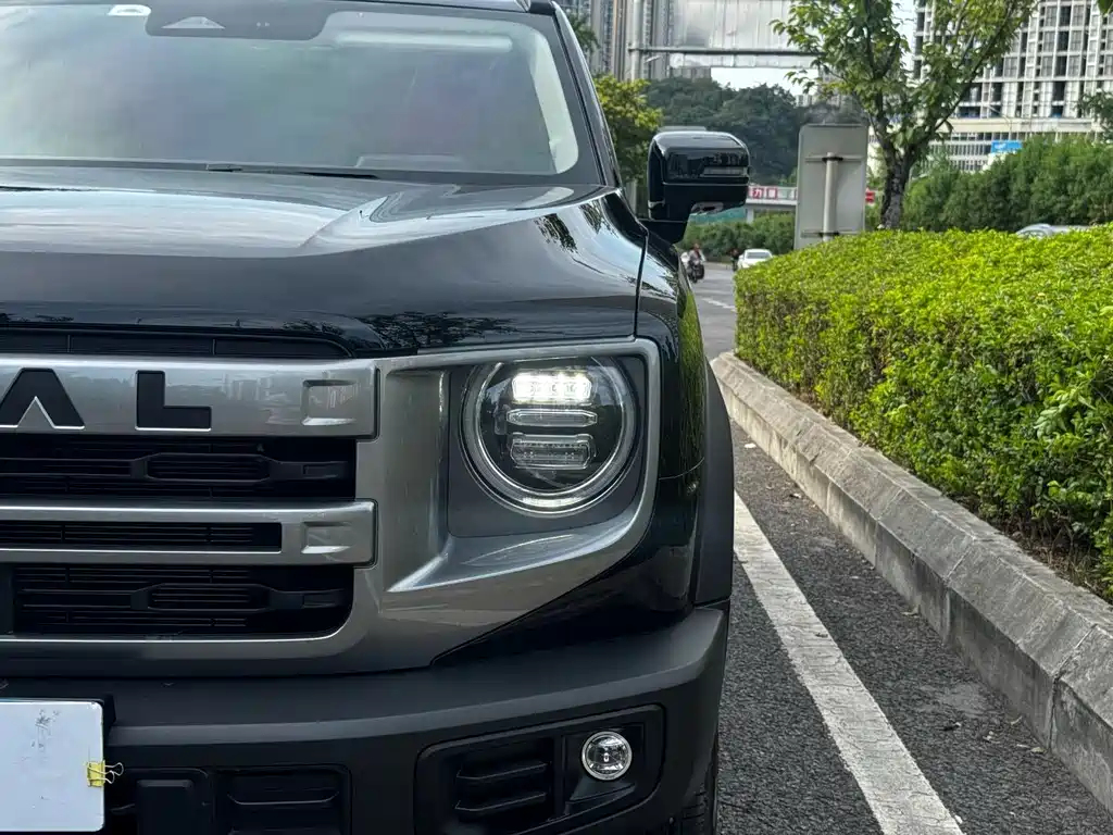 Haval Big Dog 2024