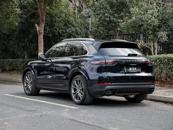 Porsche Cayenne New Energy 2021