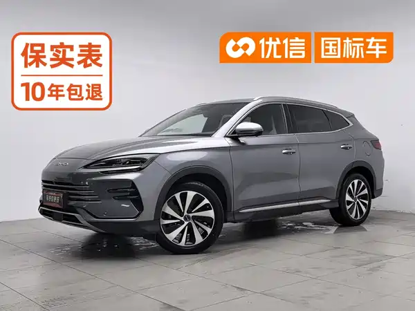 BYD Song PLUS New Energy 2024