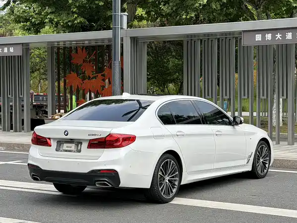 BMW 5 Series 2020