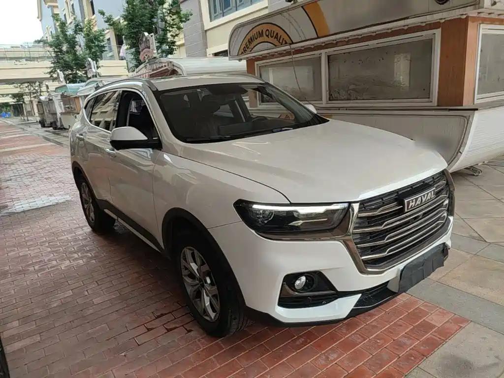 Haval H6 2021 — фото 4