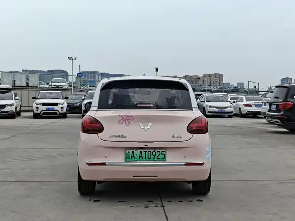 Wuling Bingo 2024