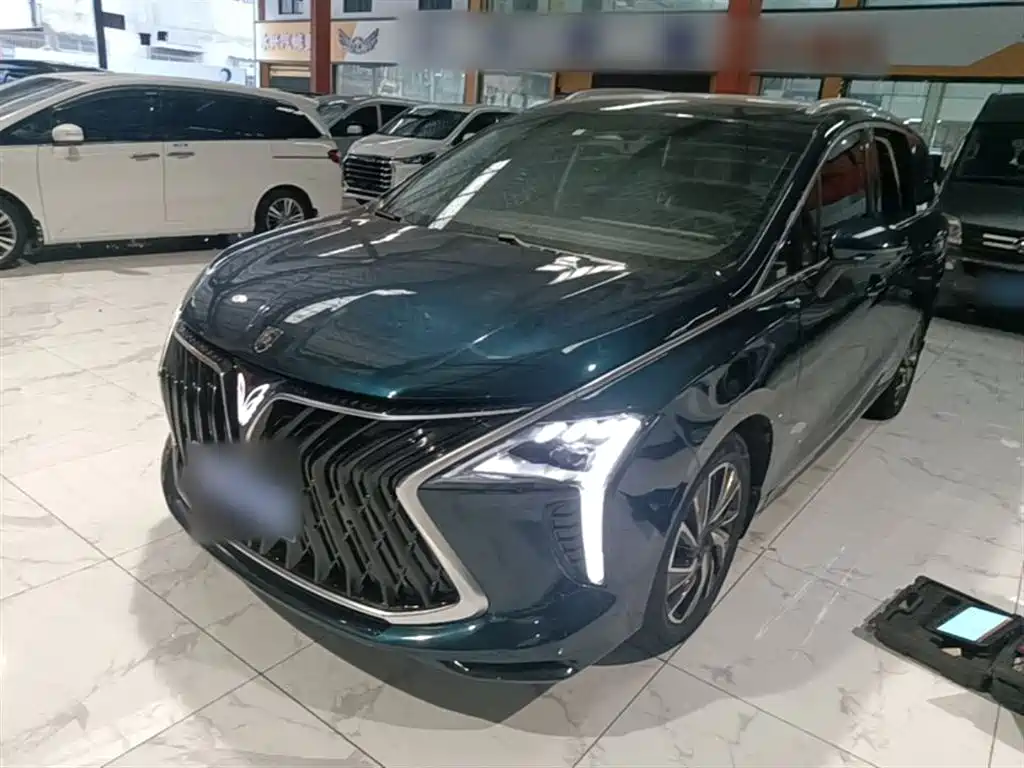 Fengxing Yacht 2023