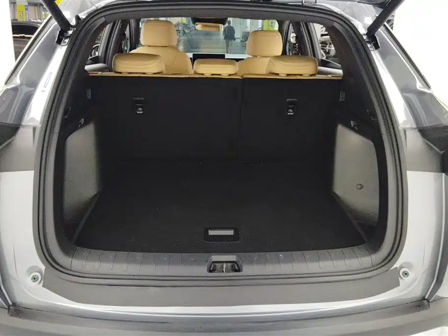 BYD L DM-i 2024 — фото 4