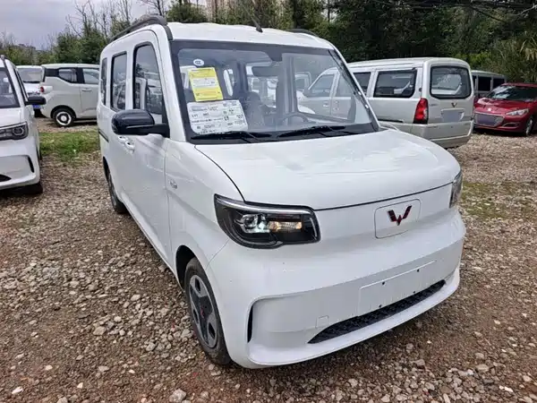 Wuling Zhiguang New Energy 2026