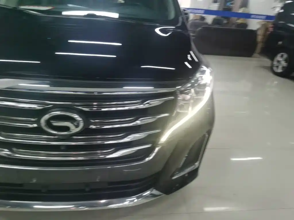 GAC Trumpchi M8 2020 — фото 24