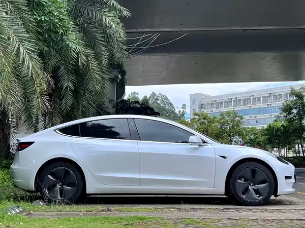 Tesla Model 3 2019