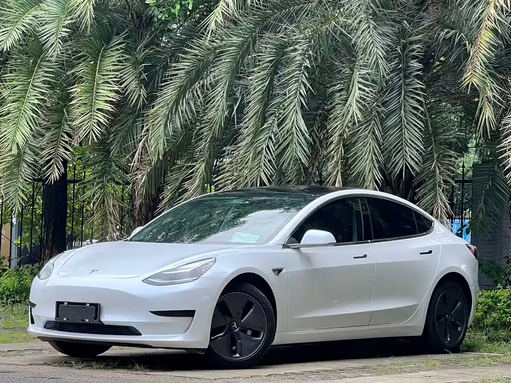 Tesla Model 3 2019