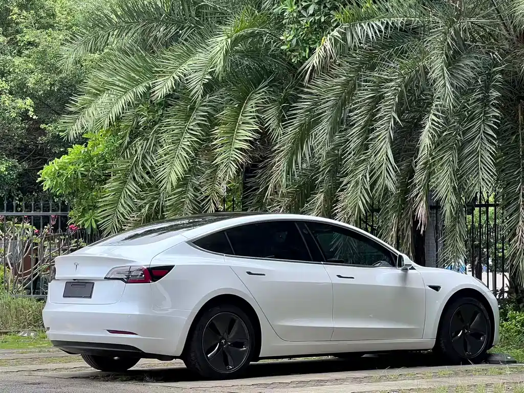 Tesla Model 3 2019