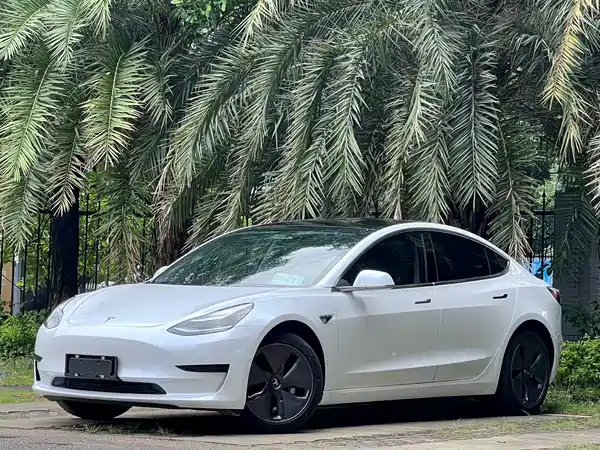 Tesla Model 3 2019