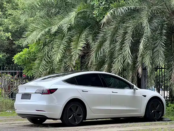 Tesla Model 3 2019