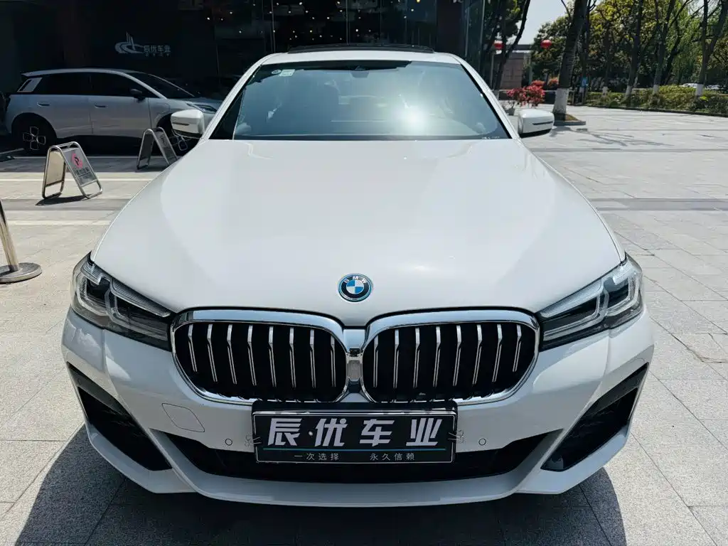 BMW 5 Series New Energy 2021