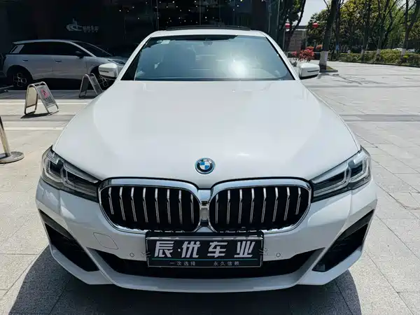 BMW 5 Series New Energy 2021