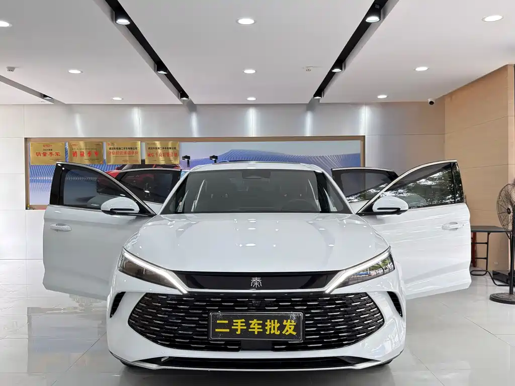 BYD Qin L 2024 — фото 16