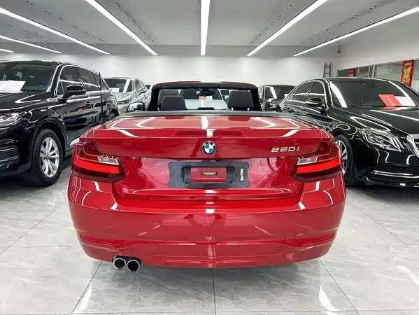 BMW 2 Series 2017