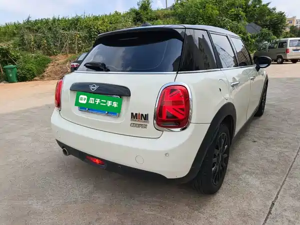 MINI MINI 2019