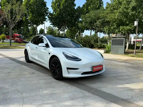Tesla Model 3 2020
