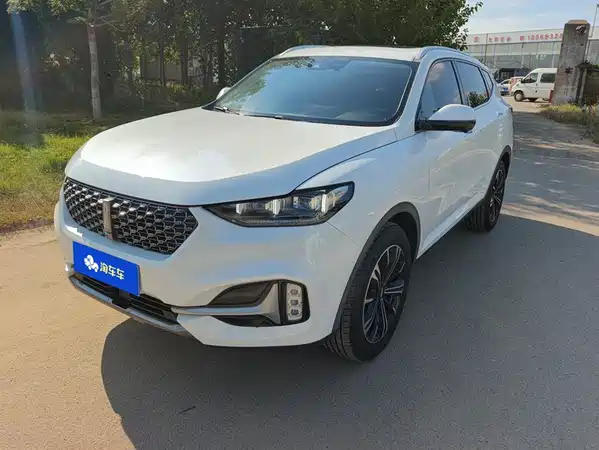 Wey VV6 2020