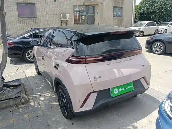 BYD Seagull 2024