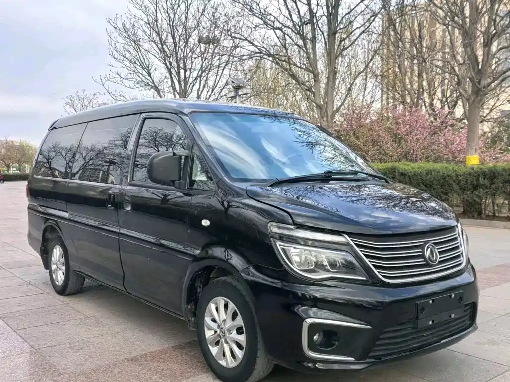 Dongfeng Lingzhi 2019