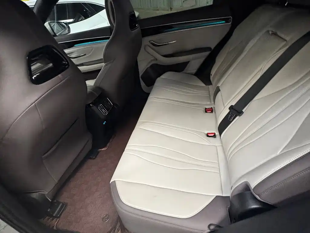 BYD PLUS New Energy 2025 — фото 13