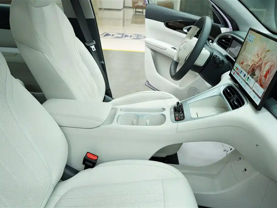 Geely Galaxy Starwish 2025 — фото 13