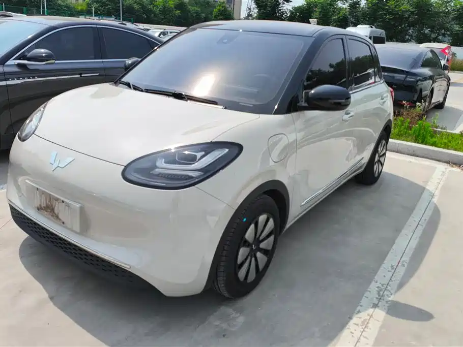 Wuling Bingo 2024