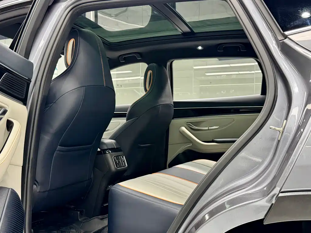 BYD PLUS New Energy 2023 — фото 17