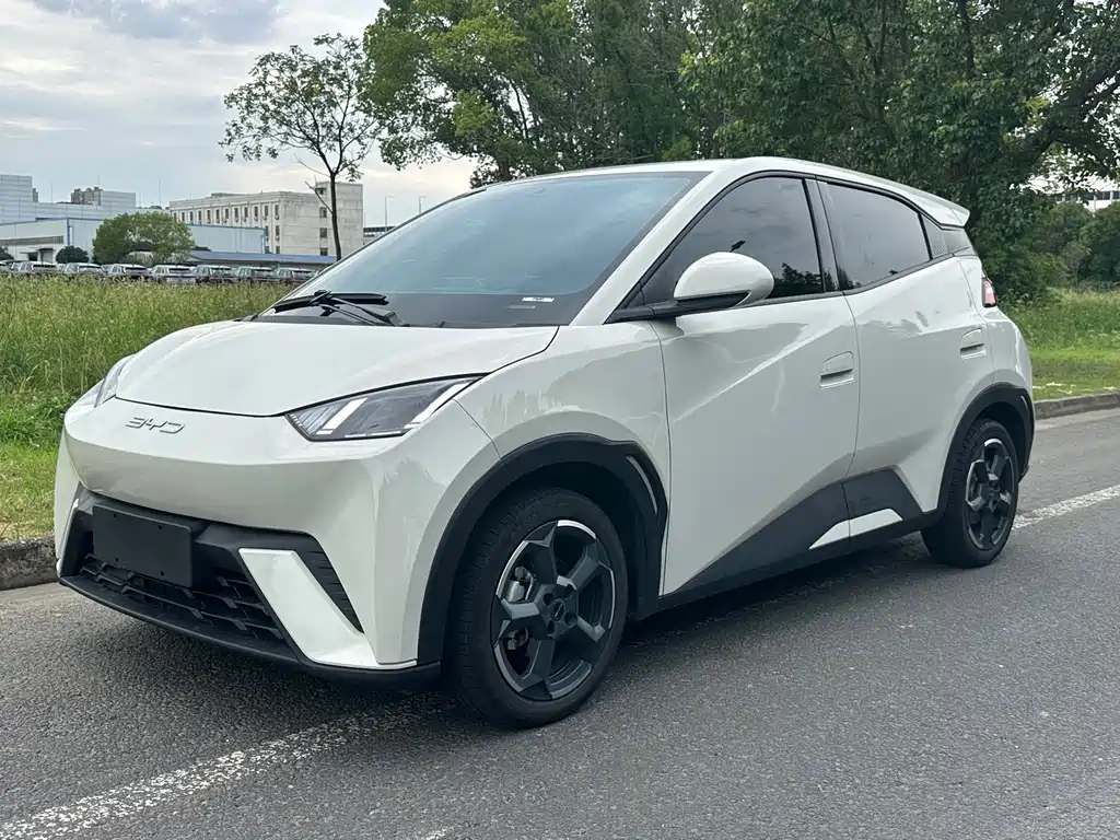 BYD Seagull 2024