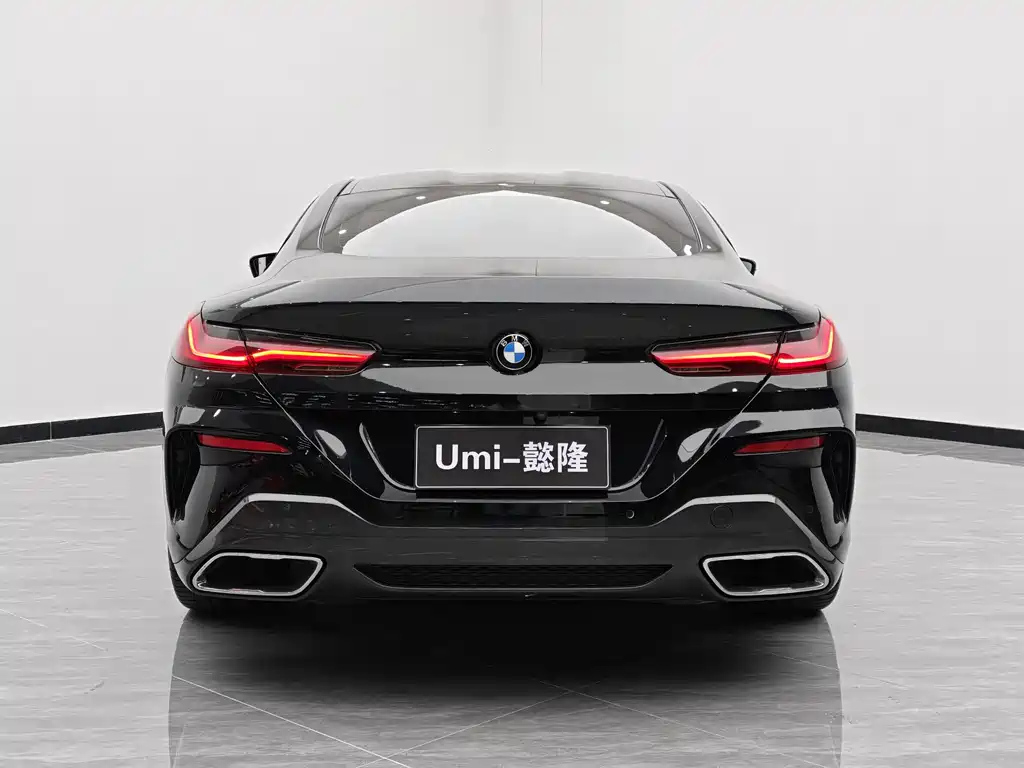 BMW 8 Series 2020 — фото 5