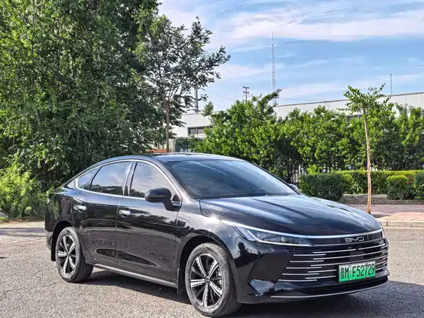 BYD Destroyer 05 2024