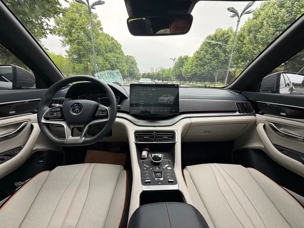 BYD PLUS New Energy 2023 — фото 4