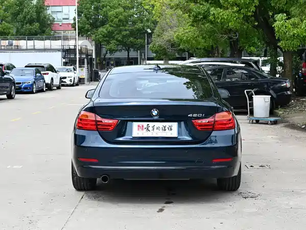 BMW 4 Series 2014