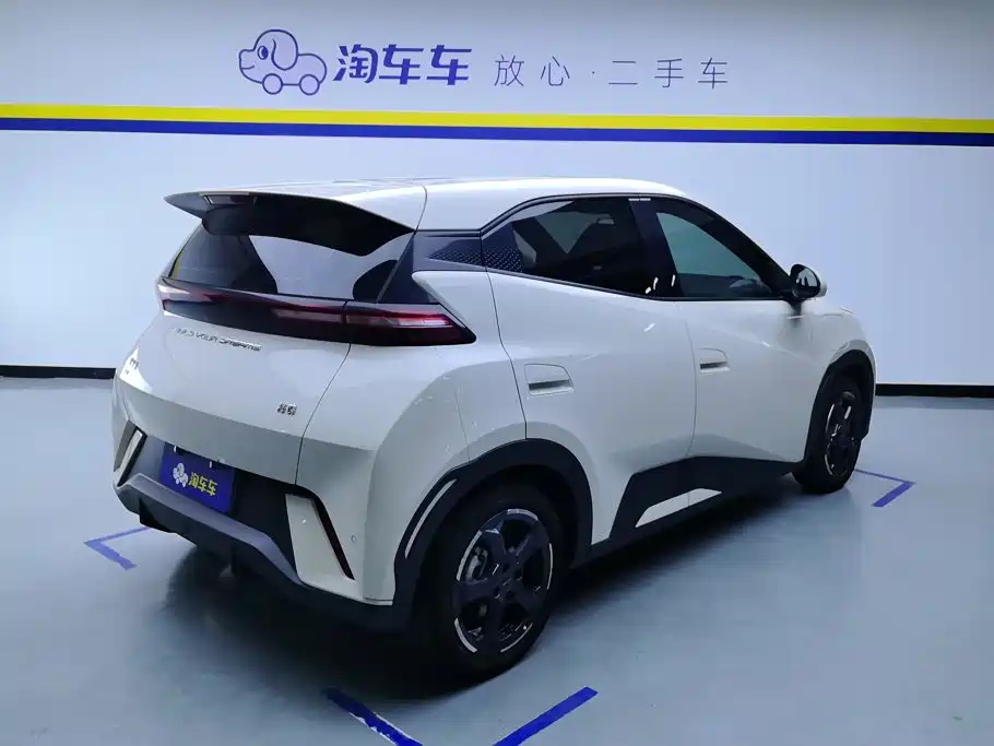 BYD Seagull 2024