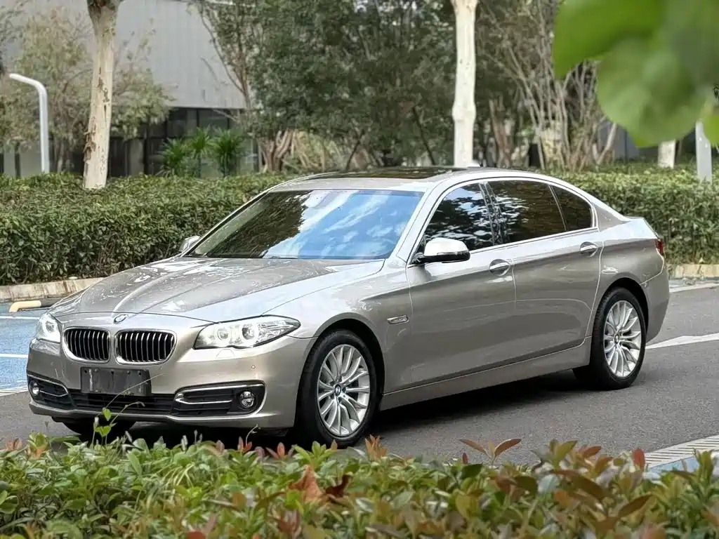 BMW 5 Series 2017 — фото 1
