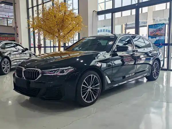 BMW 5 Series 2021